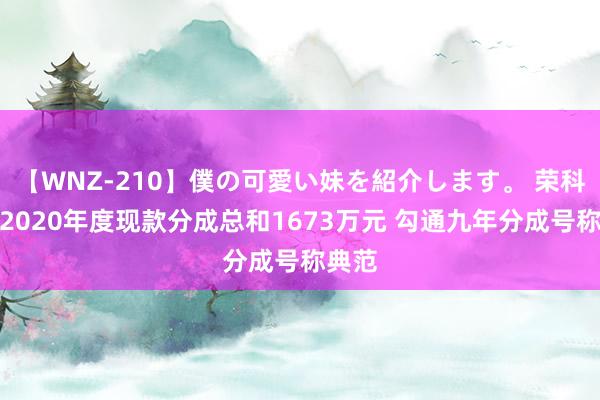 【WNZ-210】僕の可愛い妹を紹介します。 荣科科技2020年度现款分成总和1673万元 勾通九年分成号称典范
