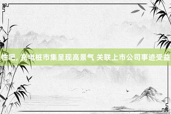性吧, 充电桩市集呈现高景气 关联上市公司事迹受益