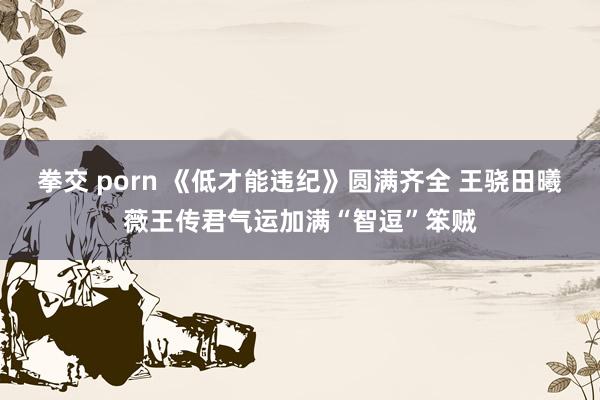 拳交 porn 《低才能违纪》圆满齐全 王骁田曦薇王传君气运加满“智逗”笨贼