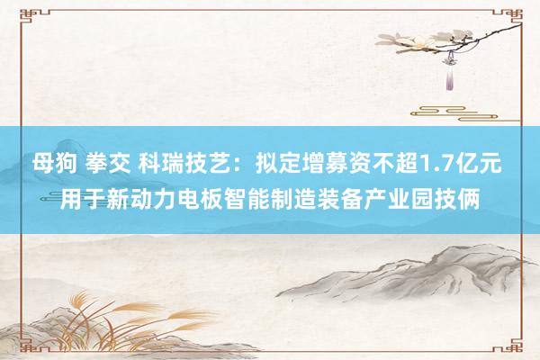 母狗 拳交 科瑞技艺：拟定增募资不超1.7亿元 用于新动力电板智能制造装备产业园技俩