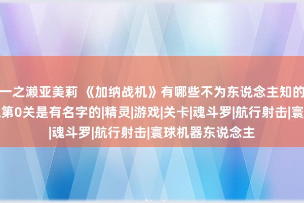 一之濑亚美莉 《加纳战机》有哪些不为东说念主知的精巧？正本荫藏第0关是有名字的|精灵|游戏|关卡|魂斗罗|航行射击|寰球机器东说念主