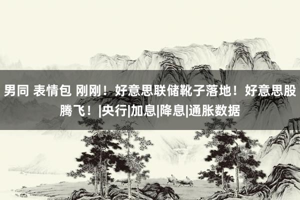 男同 表情包 刚刚！好意思联储靴子落地！好意思股腾飞！|央行|加息|降息|通胀数据