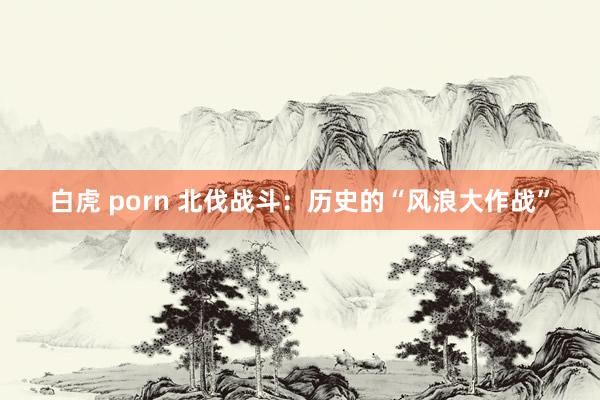 白虎 porn 北伐战斗：历史的“风浪大作战”