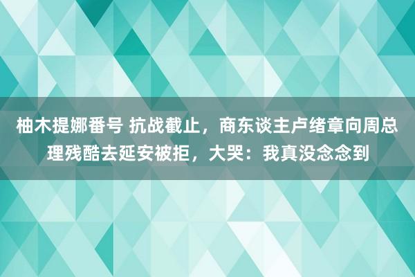 柚木提娜番号 抗战截止，商东谈主卢绪章向周总理残酷去延安被拒，大哭：我真没念念到
