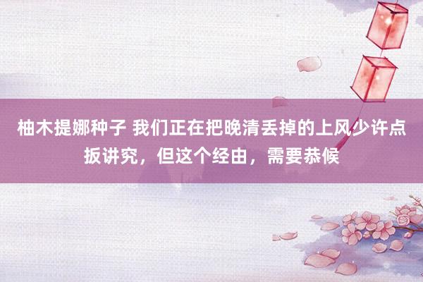 柚木提娜种子 我们正在把晚清丢掉的上风少许点扳讲究，但这个经由，需要恭候