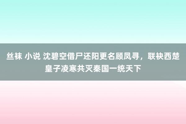 丝袜 小说 沈碧空借尸还阳更名顾凤寻，联袂西楚皇子凌寒共灭秦国一统天下