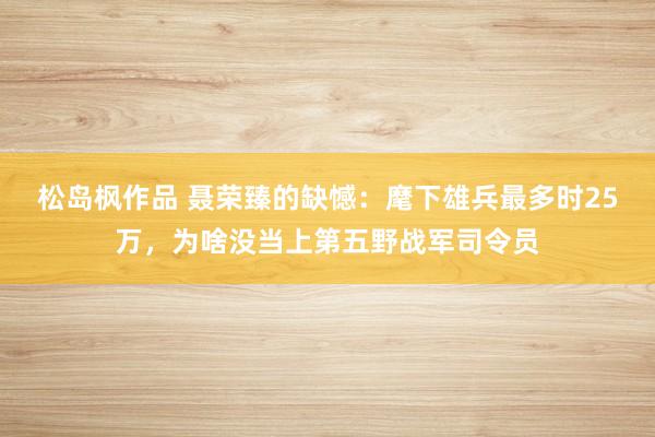松岛枫作品 聂荣臻的缺憾：麾下雄兵最多时25万，为啥没当上第五野战军司令员