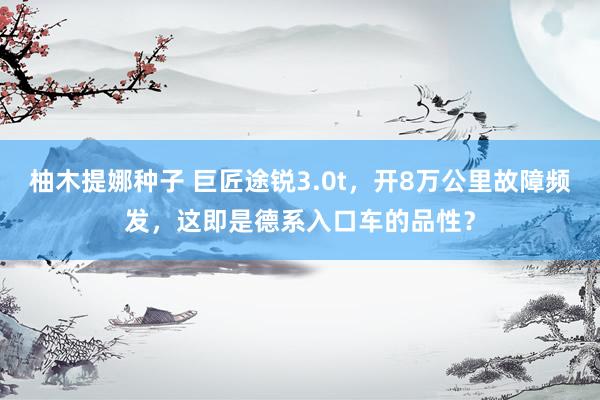 柚木提娜种子 巨匠途锐3.0t，开8万公里故障频发，这即是德系入口车的品性？