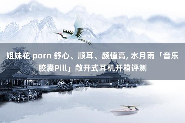 姐妹花 porn 舒心、顺耳、颜值高, 水月雨「音乐胶囊Pill」敞开式耳机开箱评测
