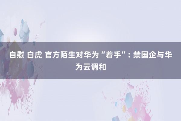 自慰 白虎 官方陌生对华为“着手”: 禁国企与华为云调和