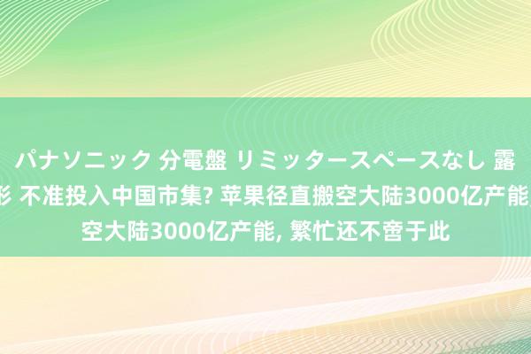 パナソニック 分電盤 リミッタースペースなし 露出・半埋込両用形 不准投入中国市集? 苹果径直搬空大陆3000亿产能, 繁忙还不啻于此