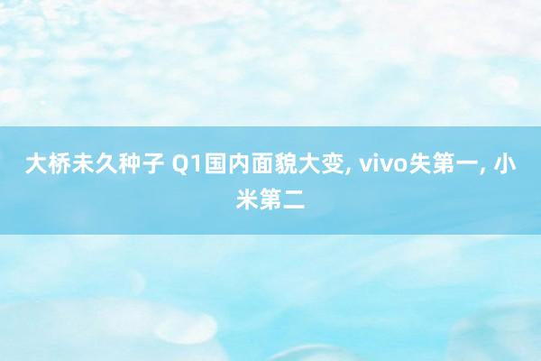 大桥未久种子 Q1国内面貌大变, vivo失第一, 小米第二