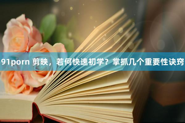 91porn 剪映，若何快速初学？掌抓几个重要性诀窍