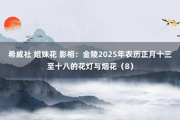 希威社 姐妹花 影相：金陵2025年农历正月十三至十八的花灯与烟花（8）