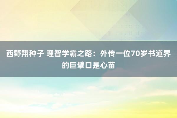 西野翔种子 理智学霸之路:外传一位70岁书道界的巨擘口是心苗