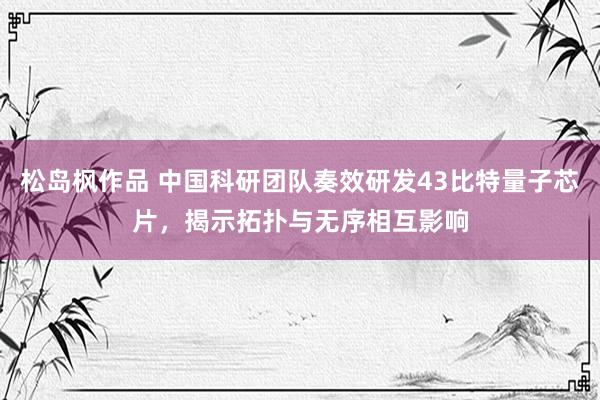 松岛枫作品 中国科研团队奏效研发43比特量子芯片，揭示拓扑与无序相互影响